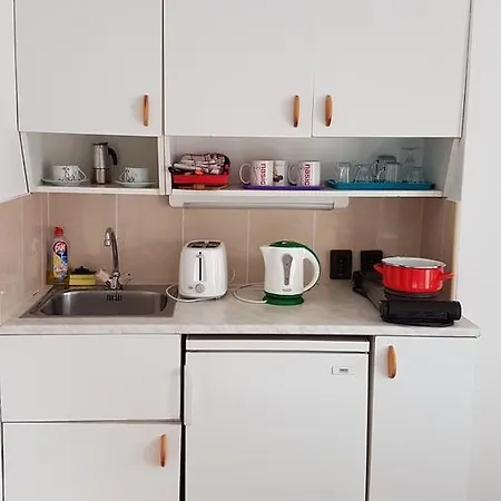 果园套房公寓 *