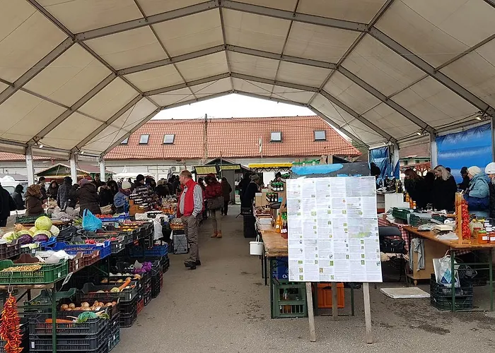 公寓 果园套房公寓 *